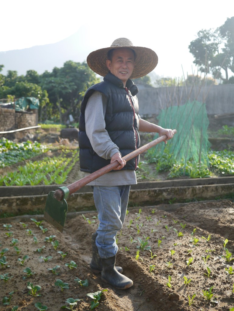 范生, 八鄉大嶺村, 耕作數十年