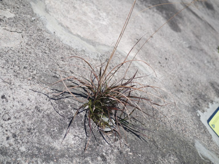 file_1440x1080_054241