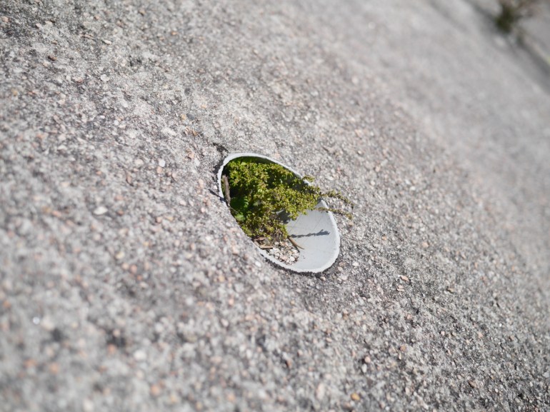 file_1440x1080_054273