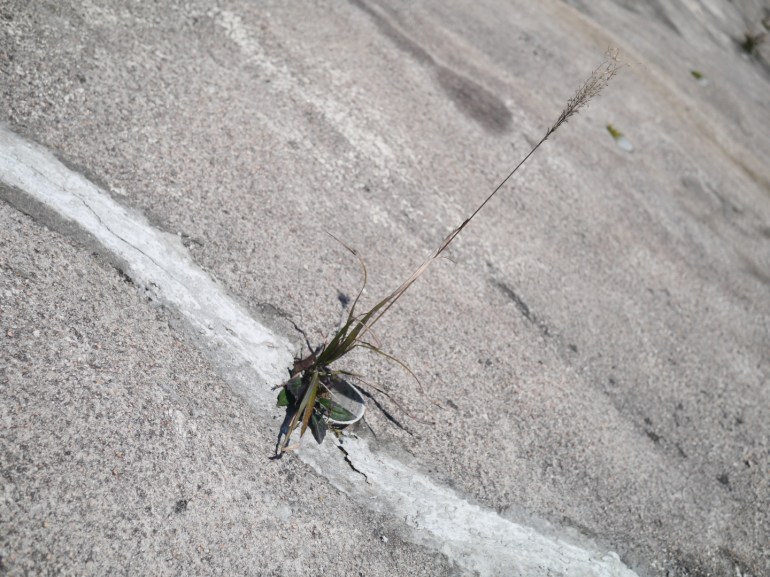 file_1440x1080_054321